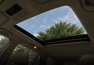 Sunroof PPF